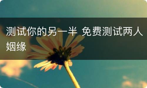 测试你的另一半 免费测试两人姻缘