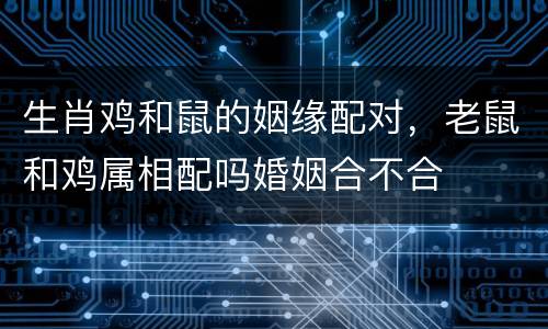 生肖鸡和鼠的姻缘配对，老鼠和鸡属相配吗婚姻合不合
