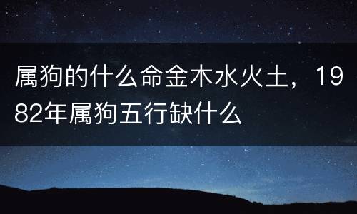 属狗的什么命金木水火土，1982年属狗五行缺什么
