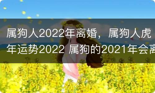 属狗人2022年离婚，属狗人虎年运势2022 属狗的2021年会离婚吗