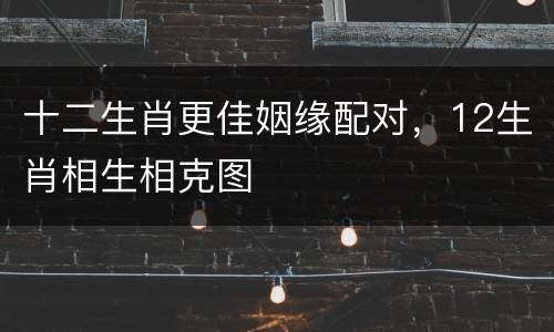 十二生肖更佳姻缘配对，12生肖相生相克图