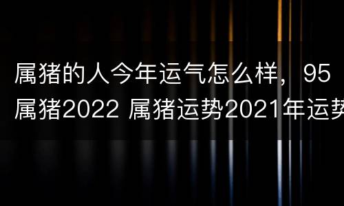 属猪的人今年运气怎么样，95属猪2022 属猪运势2021年运势详解1995出生
