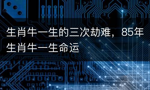 生肖牛一生的三次劫难，85年生肖牛一生命运