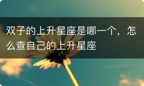 双子的上升星座是哪一个，怎么查自己的上升星座