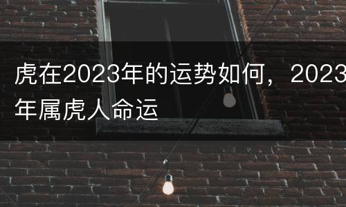 虎在2023年的运势如何，2023年属虎人命运