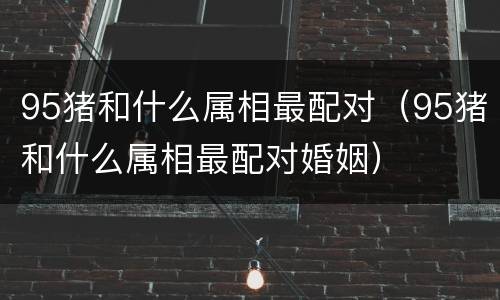 95猪和什么属相最配对（95猪和什么属相最配对婚姻）