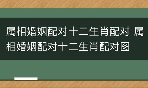 属相婚姻配对十二生肖配对 属相婚姻配对十二生肖配对图