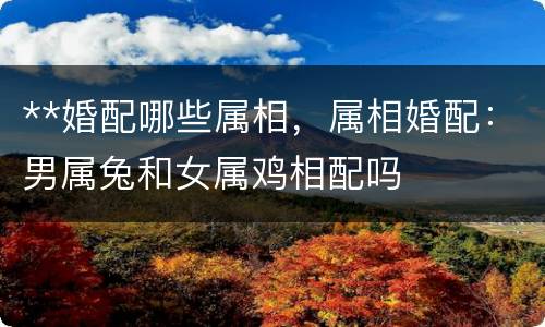 **婚配哪些属相，属相婚配：男属兔和女属鸡相配吗