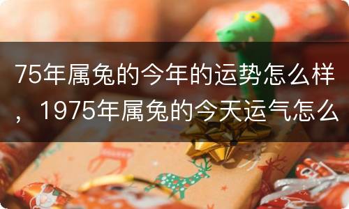 75年属兔的今年的运势怎么样，1975年属兔的今天运气怎么样