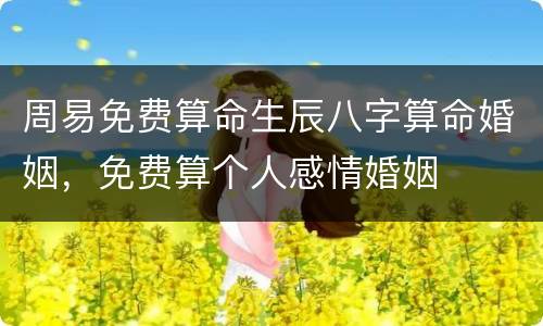 周易免费算命生辰八字算命婚姻，免费算个人感情婚姻