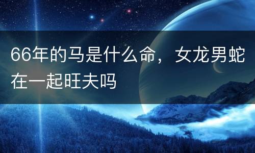 66年的马是什么命，女龙男蛇在一起旺夫吗