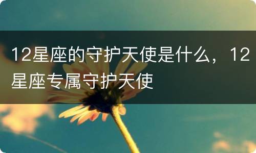 12星座的守护天使是什么，12星座专属守护天使