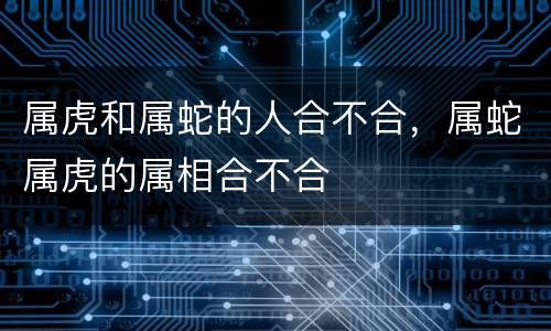 属虎和属蛇的人合不合，属蛇属虎的属相合不合