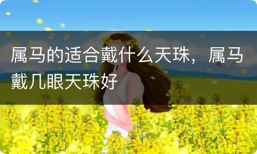 属马的适合戴什么天珠，属马戴几眼天珠好