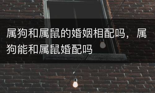 属狗和属鼠的婚姻相配吗，属狗能和属鼠婚配吗