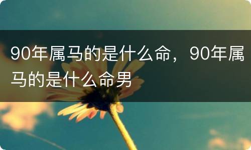 90年属马的是什么命，90年属马的是什么命男