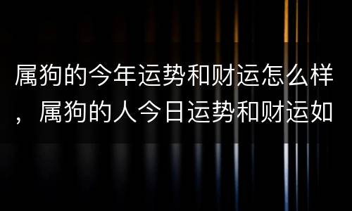 属狗的今年运势和财运怎么样，属狗的人今日运势和财运如何