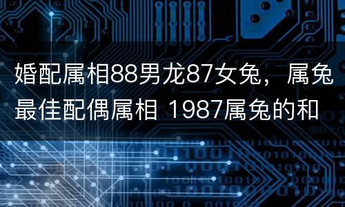 婚配属相88男龙87女兔，属兔最佳配偶属相 1987属兔的和