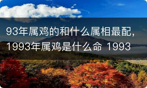 93年属鸡的和什么属相最配，1993年属鸡是什么命 1993