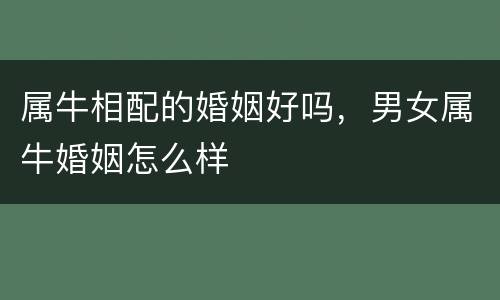 属牛相配的婚姻好吗，男女属牛婚姻怎么样