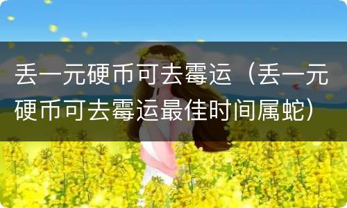 丢一元硬币可去霉运（丢一元硬币可去霉运最佳时间属蛇）