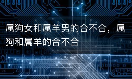 属狗女和属羊男的合不合，属狗和属羊的合不合
