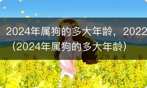 2024年属狗的多大年龄，2022（2024年属狗的多大年龄）