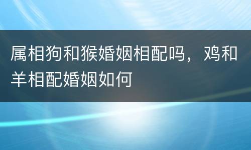 属相狗和猴婚姻相配吗，鸡和羊相配婚姻如何