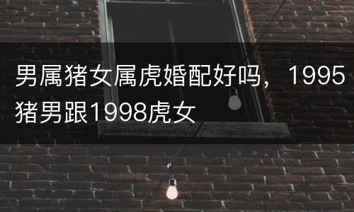 男属猪女属虎婚配好吗，1995猪男跟1998虎女