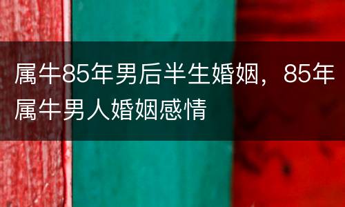属牛85年男后半生婚姻，85年属牛男人婚姻感情