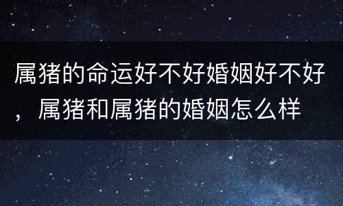 属猪的命运好不好婚姻好不好，属猪和属猪的婚姻怎么样