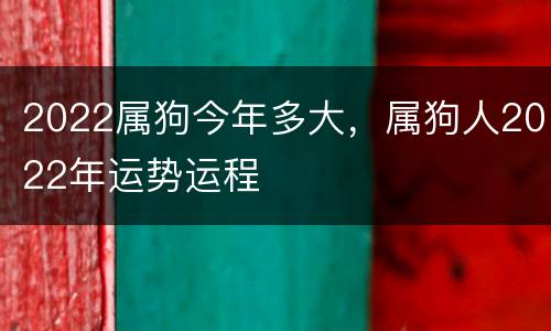 2022属狗今年多大，属狗人2022年运势运程