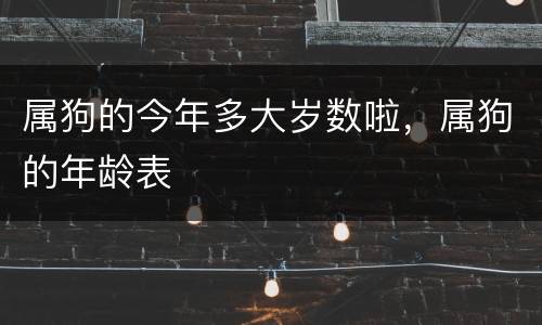 属狗的今年多大岁数啦，属狗的年龄表