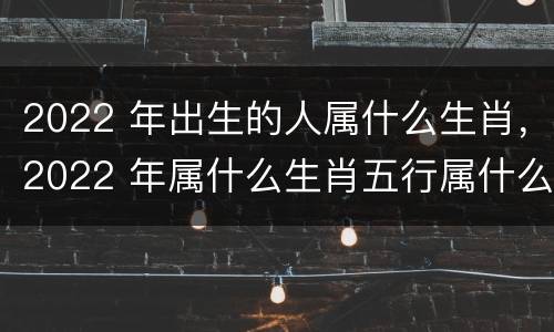 2022 年出生的人属什么生肖，2022 年属什么生肖五行属什么