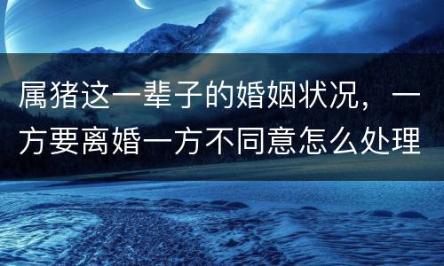 属猪这一辈子的婚姻状况，一方要离婚一方不同意怎么处理