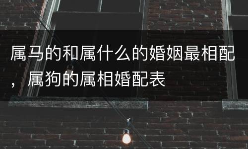 属马的和属什么的婚姻最相配，属狗的属相婚配表