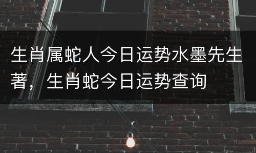 生肖属蛇人今日运势水墨先生著，生肖蛇今日运势查询