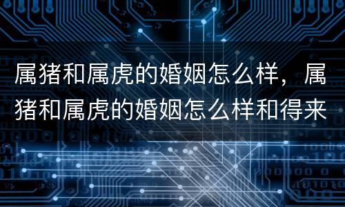 属猪和属虎的婚姻怎么样，属猪和属虎的婚姻怎么样和得来吗