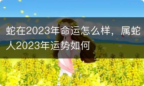 蛇在2023年命运怎么样，属蛇人2023年运势如何
