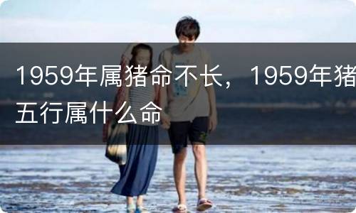 1959年属猪命不长，1959年猪五行属什么命
