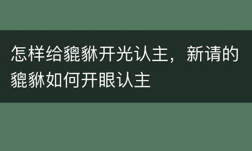 怎样给貔貅开光认主，新请的貔貅如何开眼认主