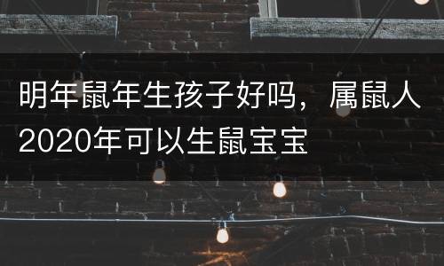 明年鼠年生孩子好吗，属鼠人2020年可以生鼠宝宝