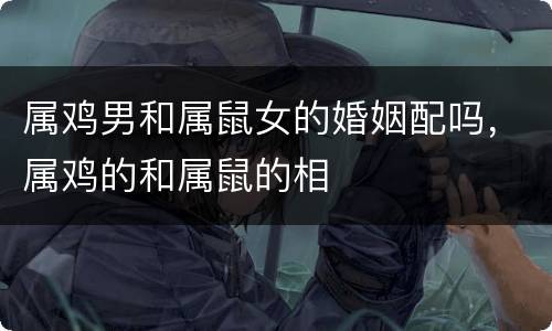 属鸡男和属鼠女的婚姻配吗，属鸡的和属鼠的相