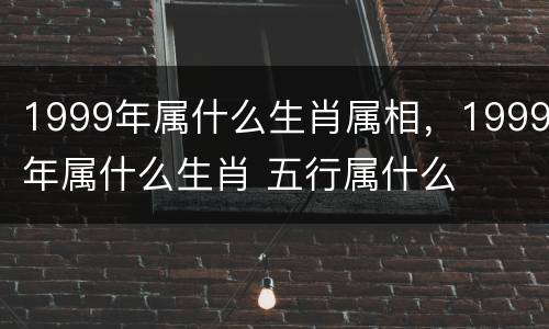 1999年属什么生肖属相，1999年属什么生肖 五行属什么
