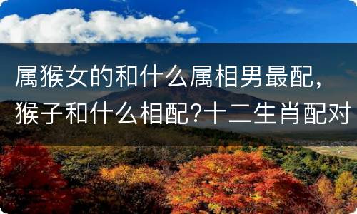 属猴女的和什么属相男最配，猴子和什么相配?十二生肖配对