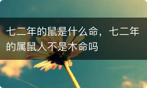 七二年的鼠是什么命，七二年的属鼠人不是木命吗