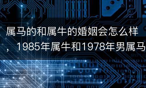 属马的和属牛的婚姻会怎么样，1985年属牛和1978年男属马能配吗?婚