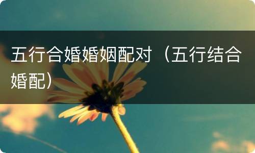 五行合婚婚姻配对（五行结合婚配）