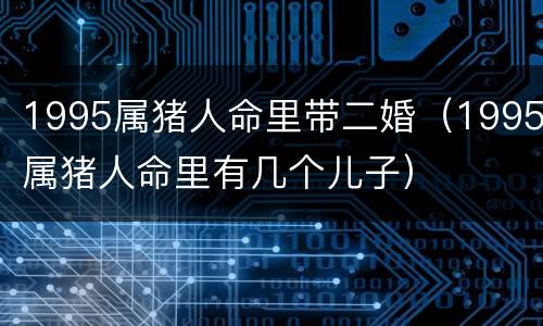 1995属猪人命里带二婚（1995属猪人命里有几个儿子）