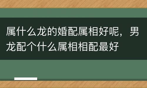 属什么龙的婚配属相好呢，男龙配个什么属相相配最好